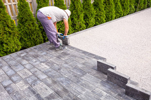 Best Permeable Paver Driveway  in Forest Lake, MN